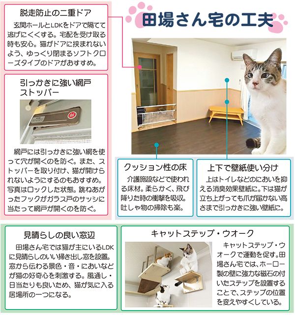 2月22日は 猫の日 猫も人も安全で快適な住まい 脱走防止 刺激がカギ タイムス住宅新聞社ウェブマガジン