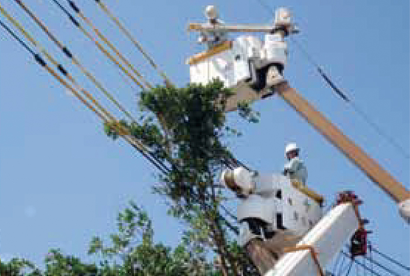 電線に接触する恐れのある樹木を伐採。こうした停電対策は定期的に行なっているが、台風前はより強化している