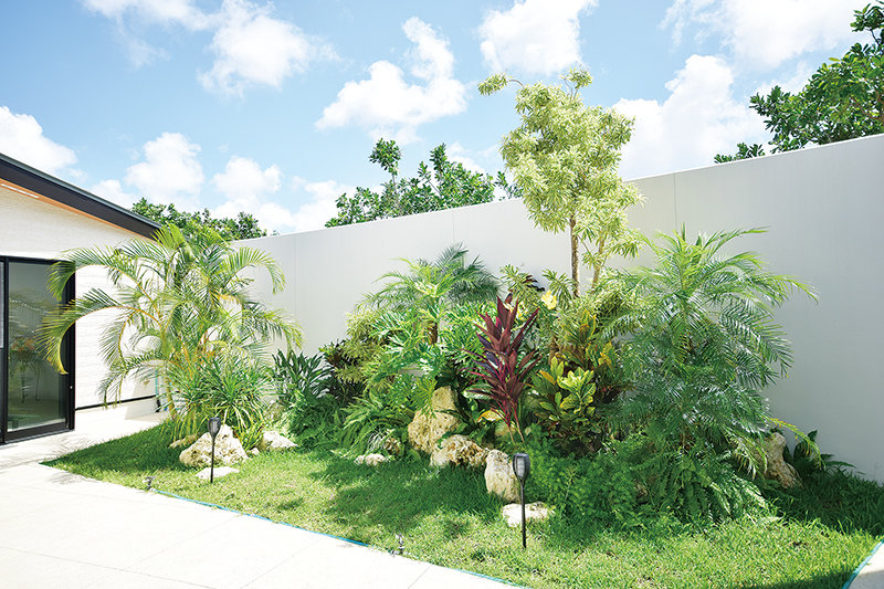 プロがつくる庭 観葉植物を地植え 南国リゾートの庭 タイムス住宅新聞社ウェブマガジン