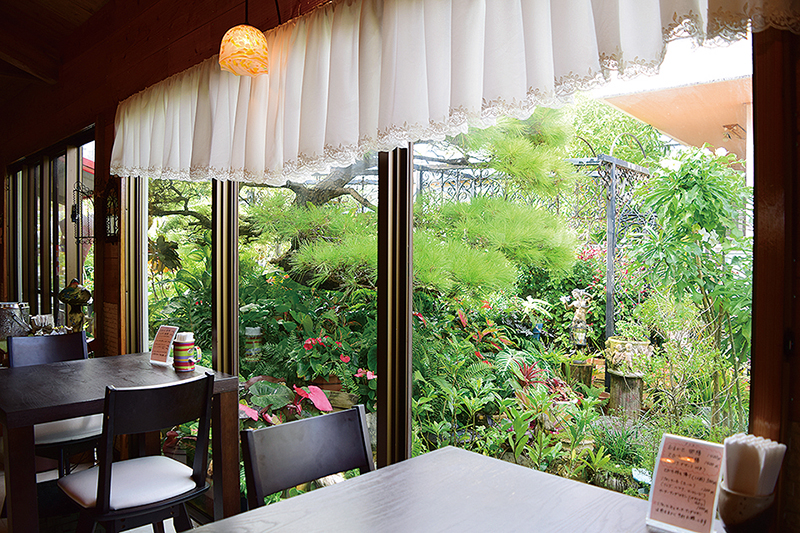 カフェの店内から見た様子。大きな窓の外に鮮やかな緑が広がる