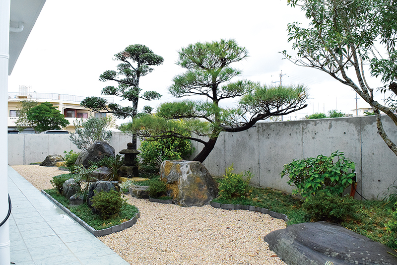 北側の庭。マツとクロキで力強い印象。最奥には記念樹を植えるためのスペースが空けられている