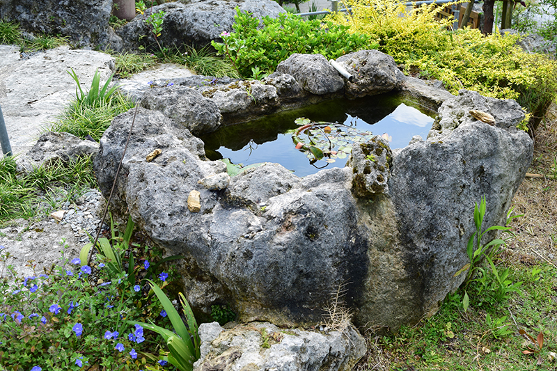 琉球石灰岩をくりぬいた水鉢。小鳥が水浴びにやってくる