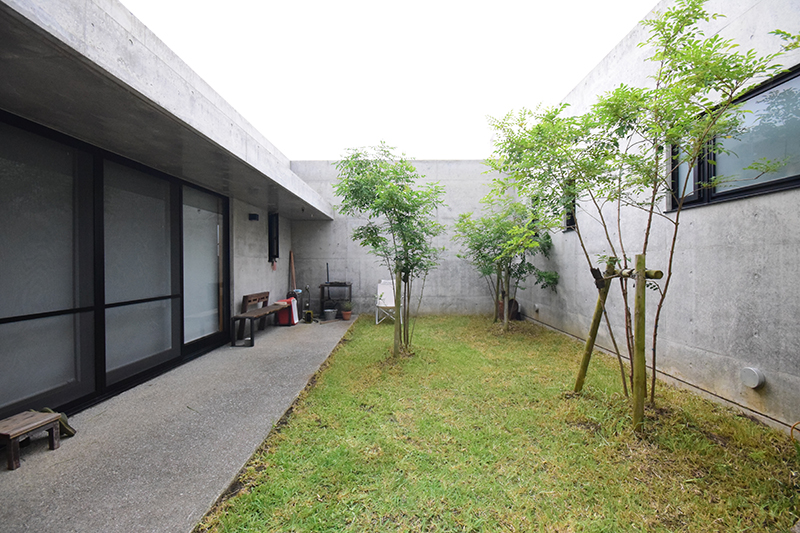 中庭。右がヨシ子さん宅、左が息子宅。シマトネリコの枝葉が互いの視線を柔らかく遮る